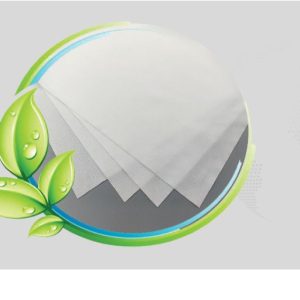 Biodegradable Polyester Wipes