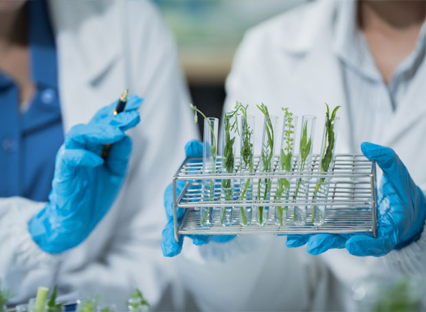 Biotechnology Industry
