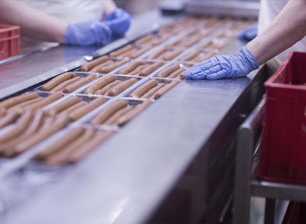 Food Processing Industry